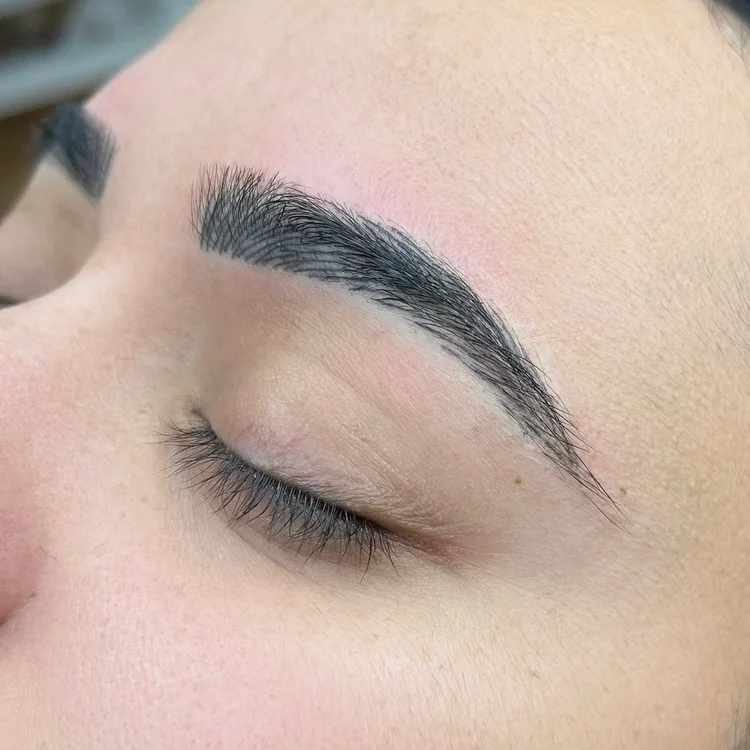 Nano brows, one hair stroke at a time